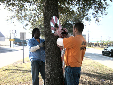 Trusty prisoner crews work regularly throughout the parish picking up trash, planting trees and mowing grass. Shown from Dep. Sheriff James Harper's crew are Earl Harris and Christopher Robin. Photo. proiided by Arc.