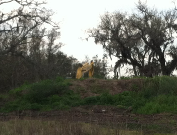 An excavating machine, shown in the background, was used to find human remains at site in Easter St. Bernard in an investigation by New Orleans police. Steve Cannizaro Photo.