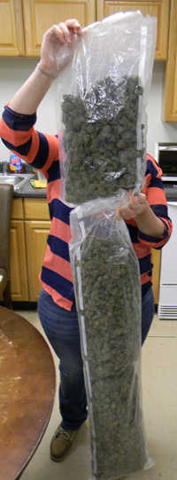 A St. Bernard sheriff's narcotics agent holds up the 5-pounds of marjuana that was encased in a vacuum-sealed bag in a package delivered to Chalmette 